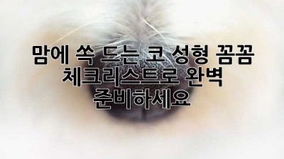맘에 쏙 드는 코 성형? 꼼꼼 체크리스트로 완벽 준비하세요!